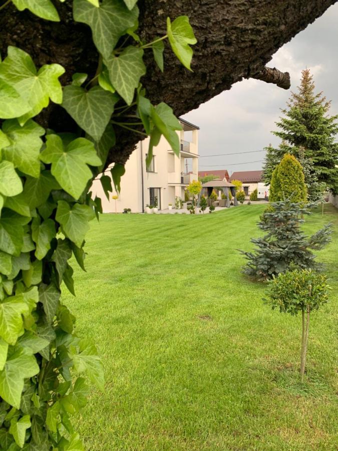Zielony Ogrod Spytkowice  Exteriör bild